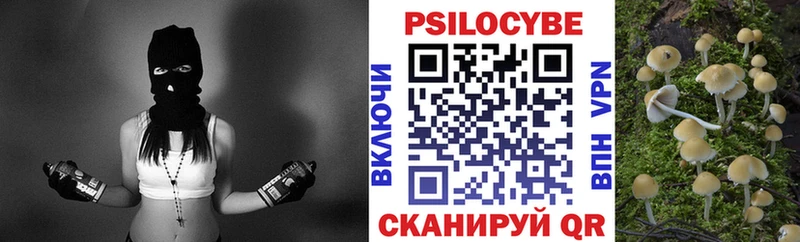 Псилоцибиновые грибы Psilocybine cubensis  omg ONION  Белая Холуница  наркота 