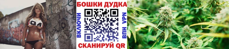 МАРИХУАНА семена  Белая Холуница 